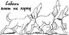 Ваш покорный слуга пёс Бутс - auto_fb_img_loader_34.jpeg