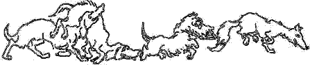 Ваш покорный слуга пёс Бутс - auto_fb_img_loader_38.png