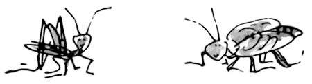 Матильда - i_006.png
