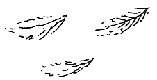 Пип! - i_111.png