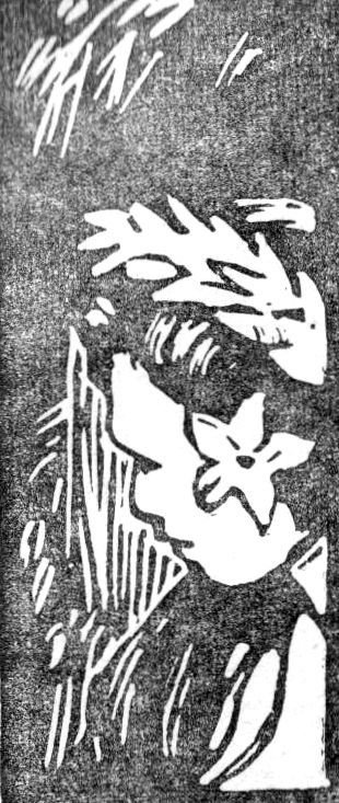 В поисках рая - _123f3e38413a304520304f14.jpg