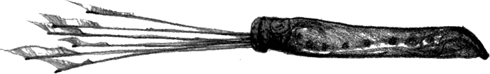 Ник Северянин и битва с Королем кошмаров - i_031.png