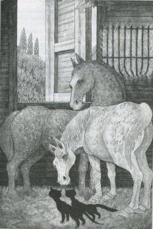 Последний чёрный кот - i_019.jpg