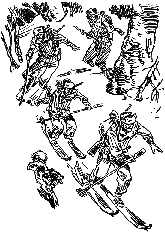 Тигровые каникулы - i_004.png