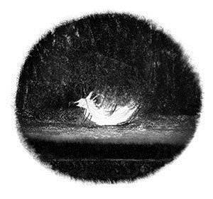 Хрангелы - i_003.jpg