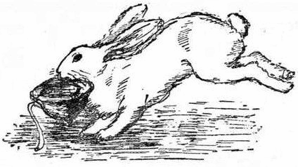 Пушистый гость - i_015.png