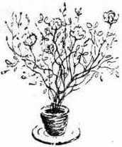 Пушистый гость - i_017.png