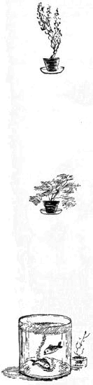 Пушистый гость - i_020.png