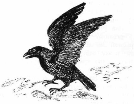 Пушистый гость - i_028.png