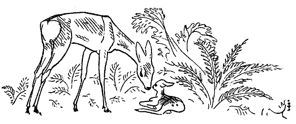Окаменевшие волки - i_004.png