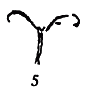 Сказки и легенды - any2fbimgloader19.png