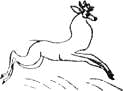 Девочка и олень - i_048.png