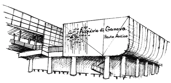 У самого синего моря. Итальянский дневник - acquario.png