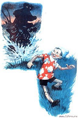 Приключения Пиноккио - i_022.jpg
