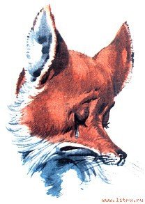 Приключения Пиноккио - i_030.jpg