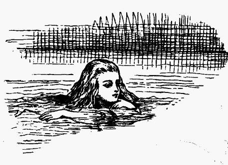 Приключения Алисы в стране чудес (Пер. Н.М. Демуровой) - bdtofb2im_2.png