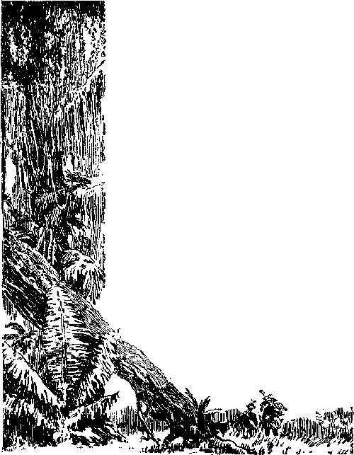 Мир Приключений 1955 г. №1 - image271.png