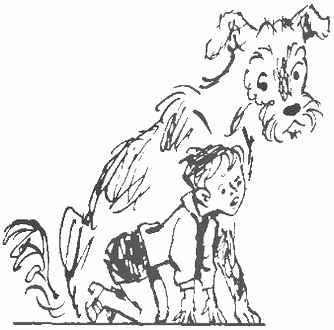 Заколдованная буква - _69.jpg
