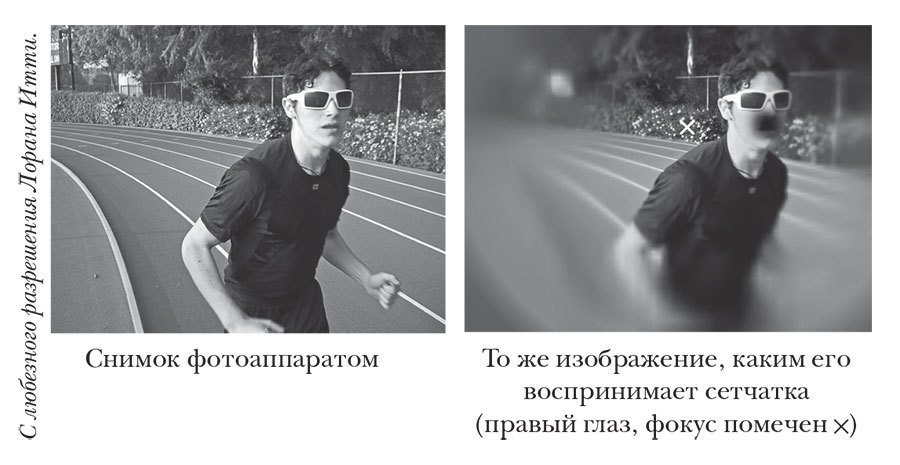 (Нео)сознанное. Как бессознательный ум управляет нашим поведением - i_008.jpg
