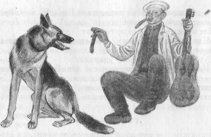Кепка с карасями - _14.jpg