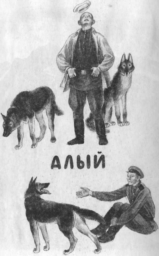 Кепка с карасями - _3.jpg