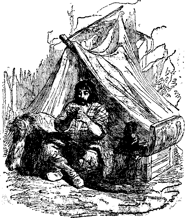 Приключения Робинзона Крузо - i_033.png
