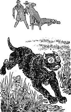 Записки о Шерлоке Холмсе (Ил. Н. Цейтлина) - img92A7.jpg
