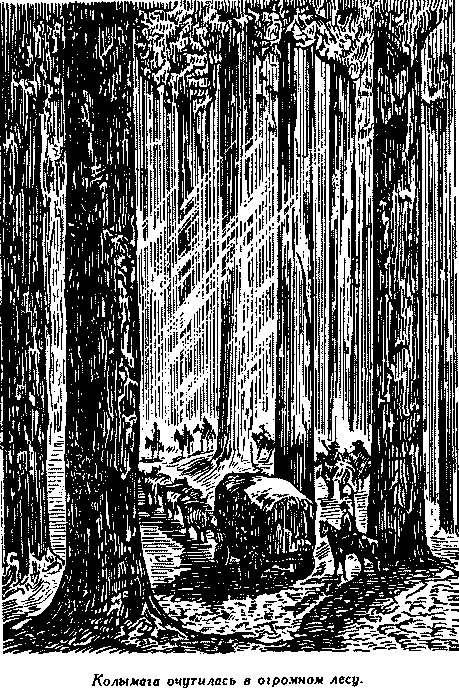 Дети капитана Гранта - i_040.png