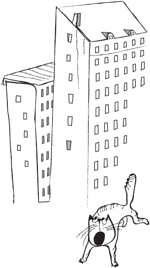 500 научных фактов, которые вас удивят - _18.png