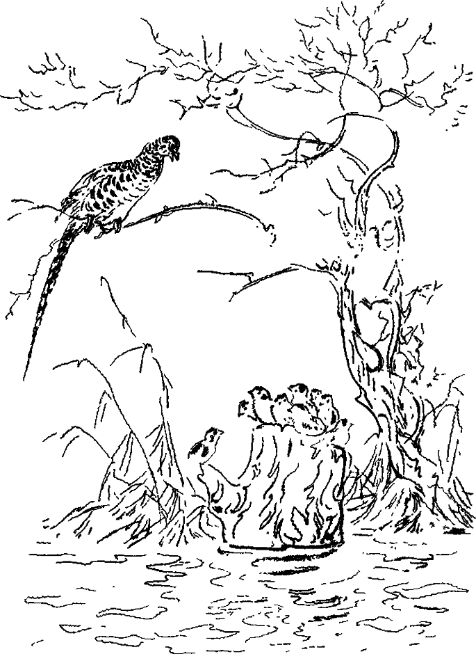 Хозяин небесных гор - i_016.png