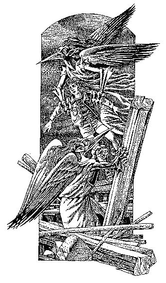 Несси, или Тайна черной пирамиды - i_005.png