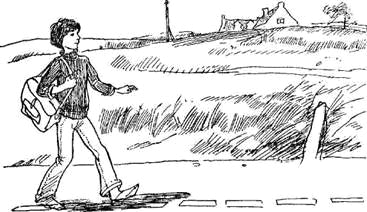 Автостопом на север - i_019.png