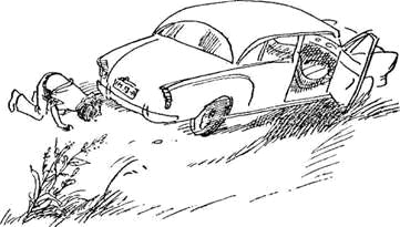 Автостопом на север - i_023.png