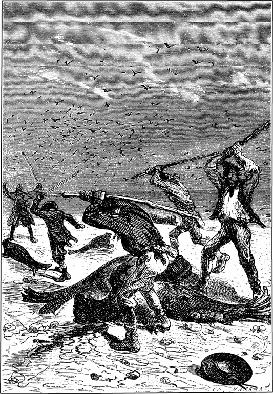 Таинственный остров(изд.1980) - i_027.png