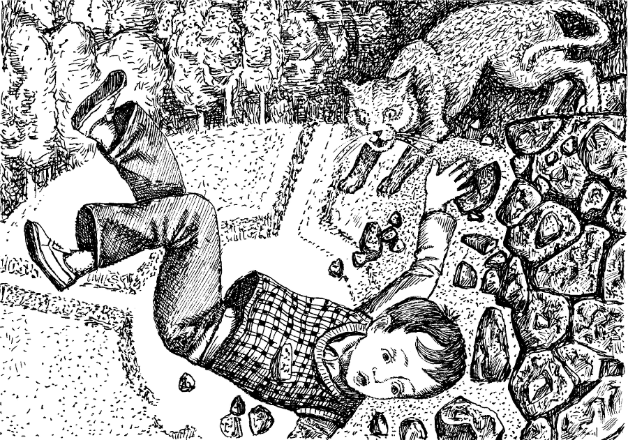 Девять жизней Кристофера Чанта - i_012.png