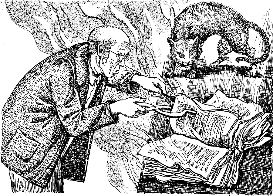Волшебники из Капроны - i_007.png