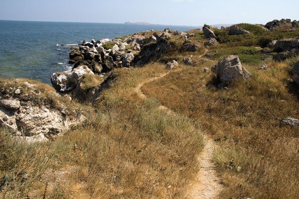 Цифровая фотография без Photoshop - i_045.jpg
