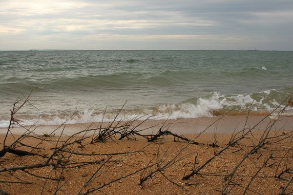 Цифровая фотография без Photoshop - i_122.jpg