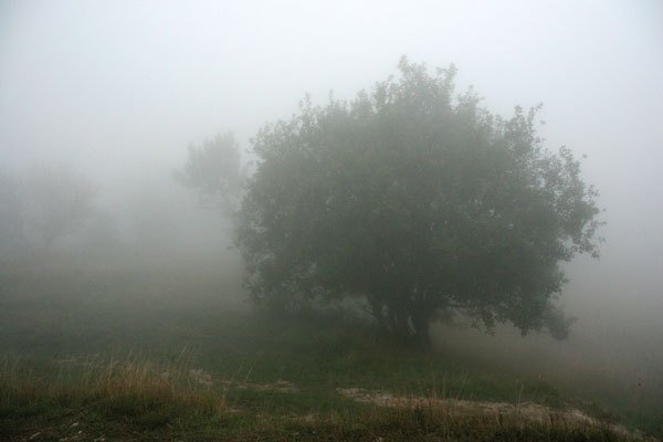 Цифровая фотография без Photoshop - i_128.jpg
