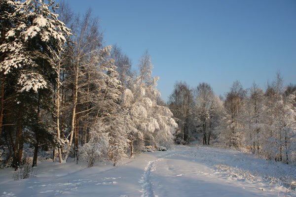Цифровая фотография без Photoshop - i_137.jpg