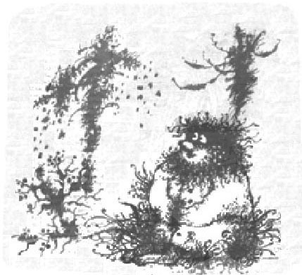 Златоборье - i_019.png