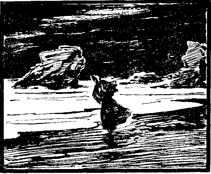 Лунный камень - image027.png