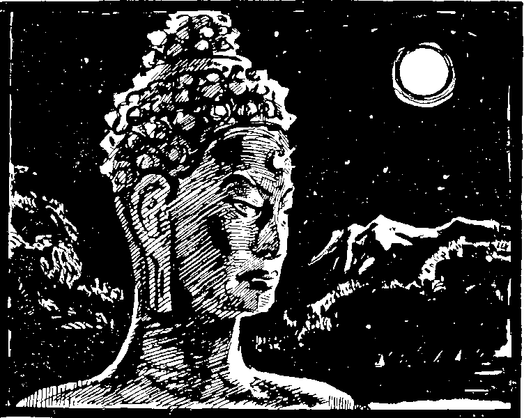 Лунный камень - image038.png