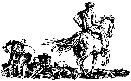 Ночная погоня(сборник) - i_006.png