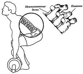 Новая энциклопедия бодибилдинга. Кн.3. Упражнения - _17.jpg