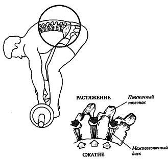Новая энциклопедия бодибилдинга. Кн.3. Упражнения - _19.jpg