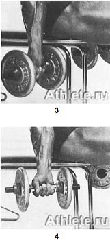 Новая энциклопедия бодибилдинга. Кн.3. Упражнения - _228.jpg