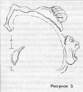 Психологическая самоподготовка к рукопашному бою - image5.jpg