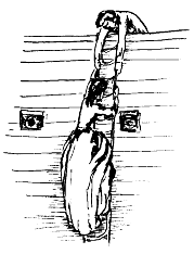 Леди удачи - i_014.png