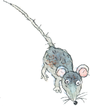 Шамайка – королева кошек - i_005.png